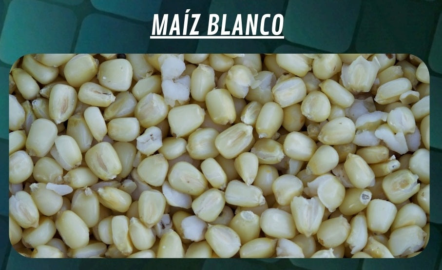 Găleată de porumb Quality Seeds Alb 6 kg