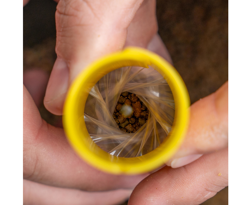 Sistem de fabricare a pungilor pva Avid Carp