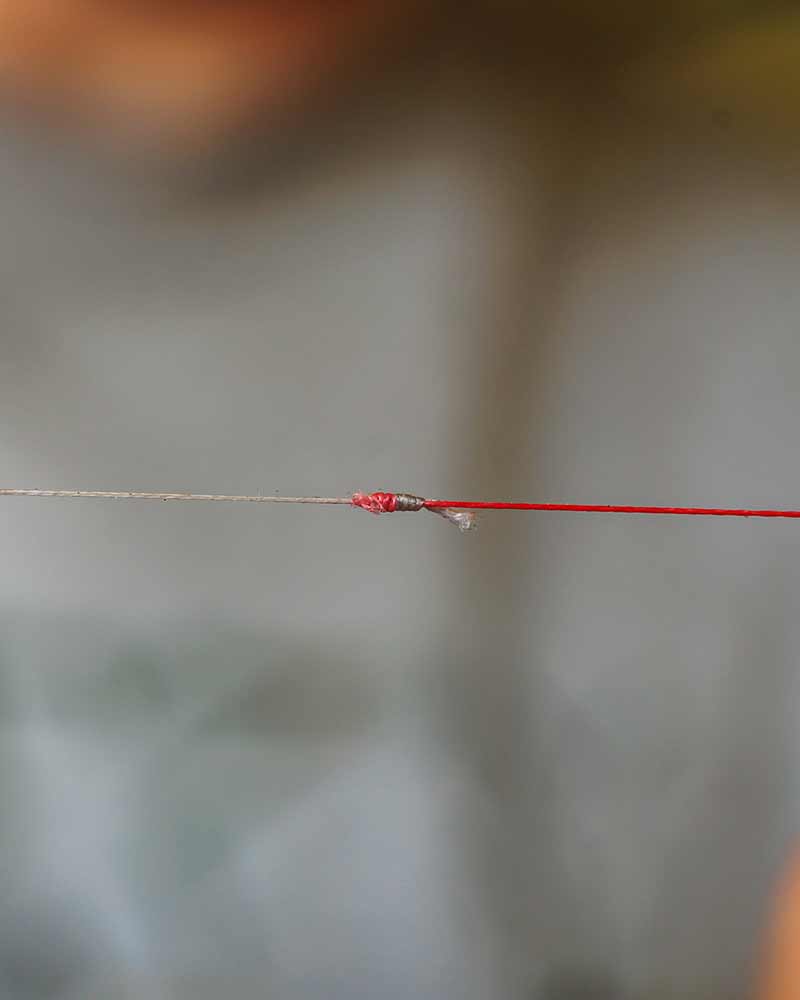 Trenzado cónico Spomb Rojo 0,20 - 0,38 mm - 3 x 10 m - Tienda Carpfishing