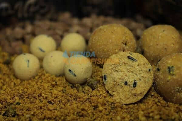 Boilies Pro Elite Baits Gold Sweet Dreams 20 mm - Tienda Carpfishing