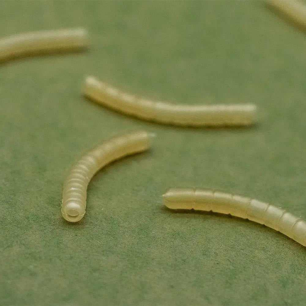 Magoliner Curve OMC Dazzlers S - Tienda Carpfishing