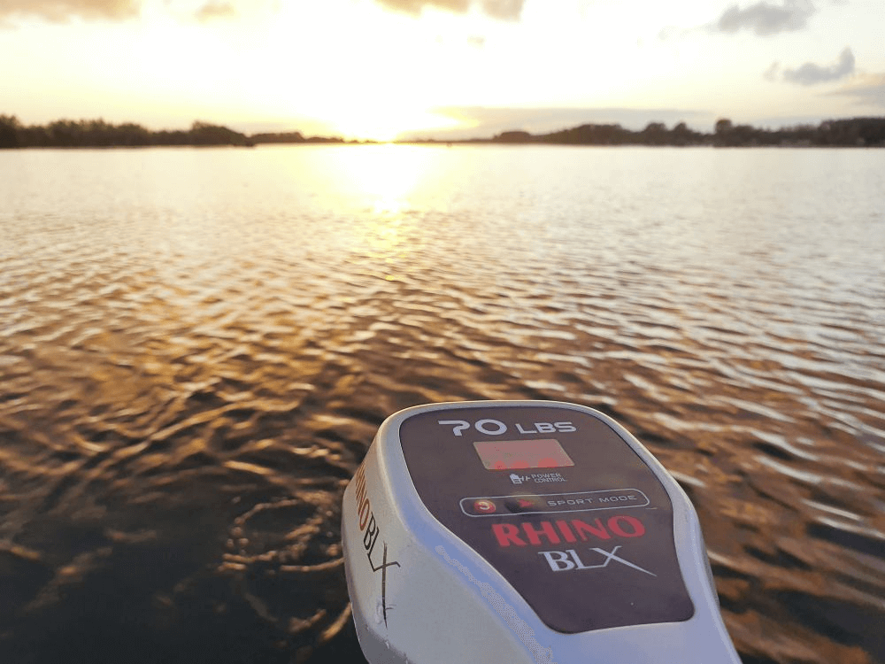 Motor Rhino BLX70 - Tienda Carpfishing