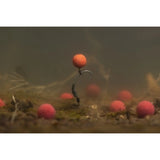 Boilies Pop Ups Korda ISO Fish 14mm