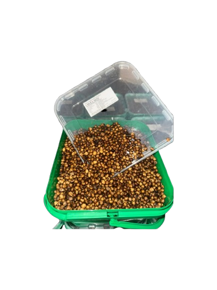 Nuci tigru Quality Seeds mini 5 kg