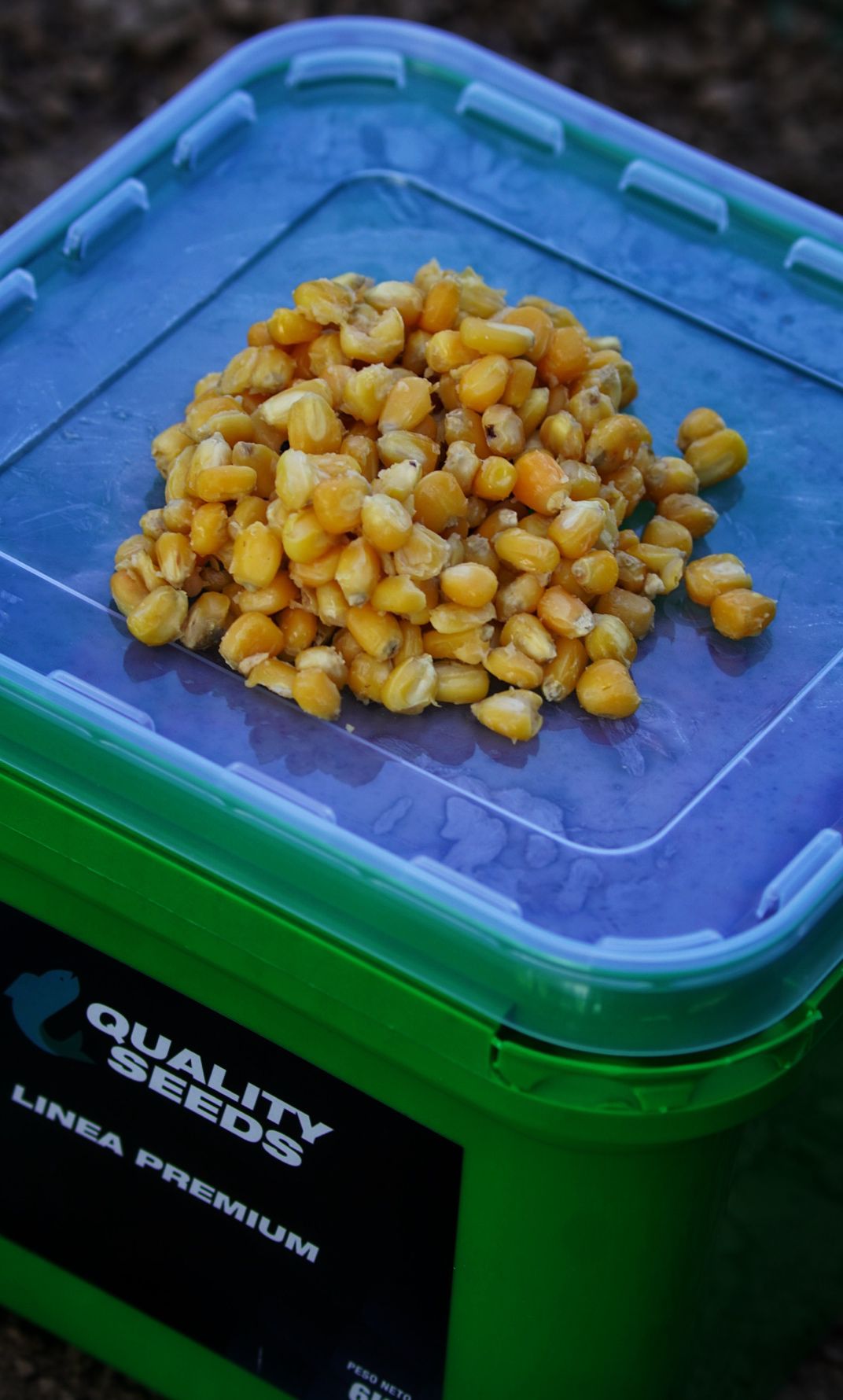 Găleată de porumb Quality Seeds Galben 6 kg