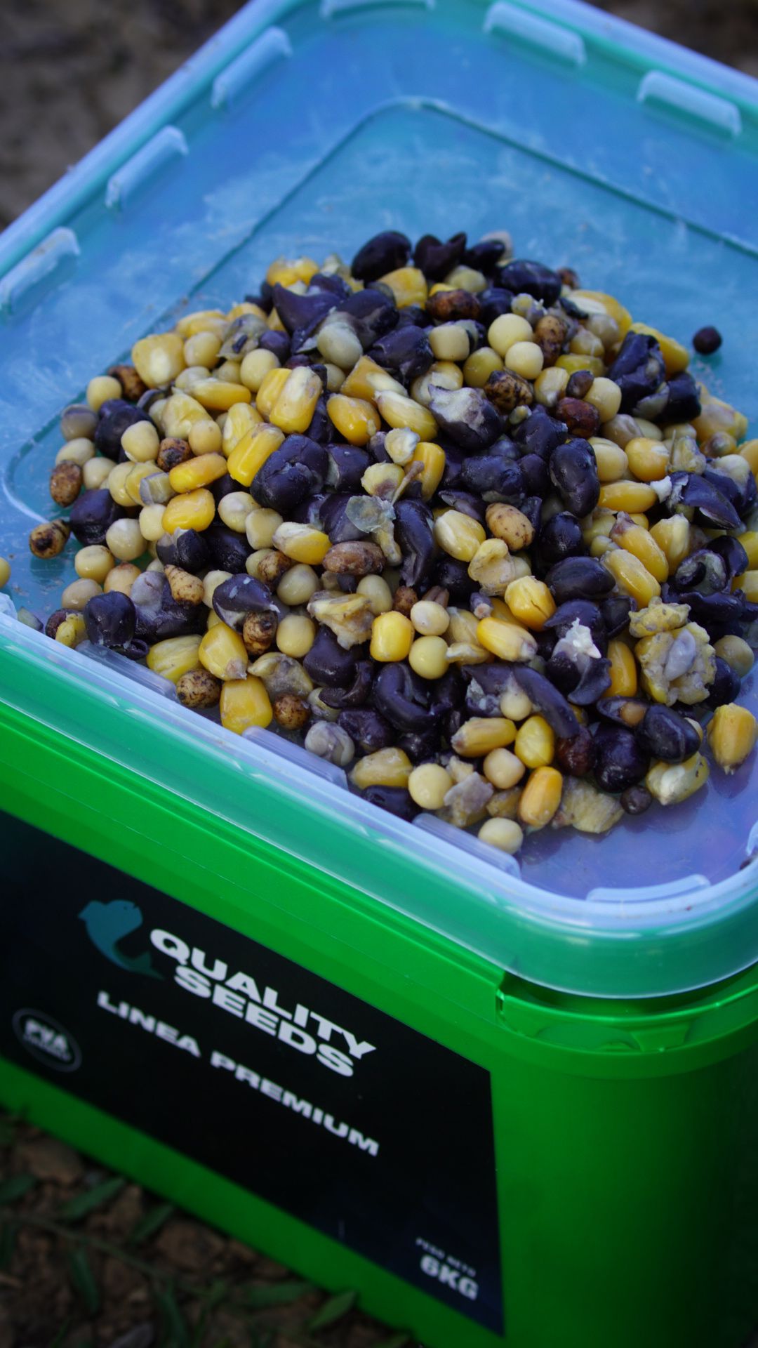 Seed Mix Cube Quality Seeds Classic 6 kg