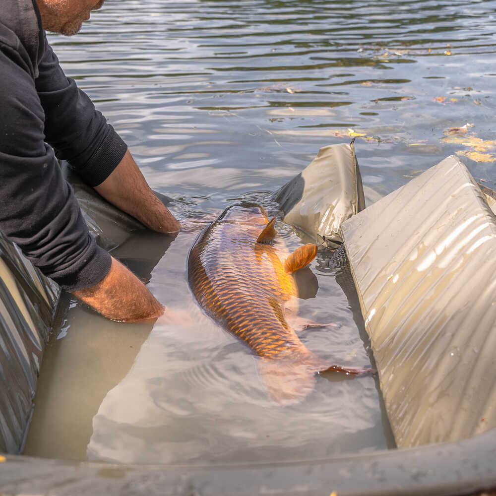 Leagăn Avid Carp PRO-Tect Deluxe Cradle