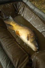 patut Fox Carpmaster