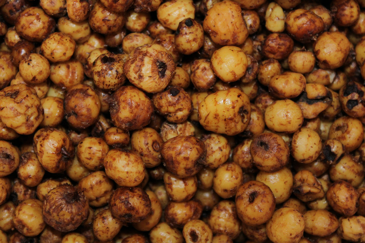 Chufa artificial Pro Elite Baits Chufas Pro Elite Baits Cooked Particles Tigernuts 1000 Gr