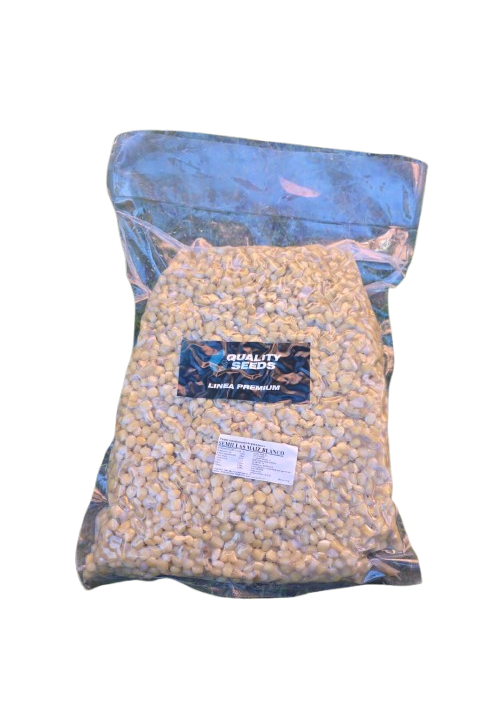 Porumb Quality Seeds Alb 5 kg