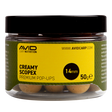 Pop ups Avid Carp Premium Creamy Scopex 14 mm - Tienda Carpfishing