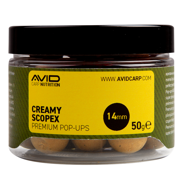 Pop ups Avid Carp Premium Creamy Scopex 14 mm - Tienda Carpfishing