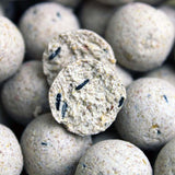 Session Pack Pro Elite Baits Pineapple Scopex Alb