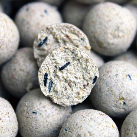 Session Pack Pro Elite Baits Pineapple Scopex Alb