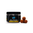 Boilies Echilibrat Any Water Spice 16 mm - Tienda Carpfishing
