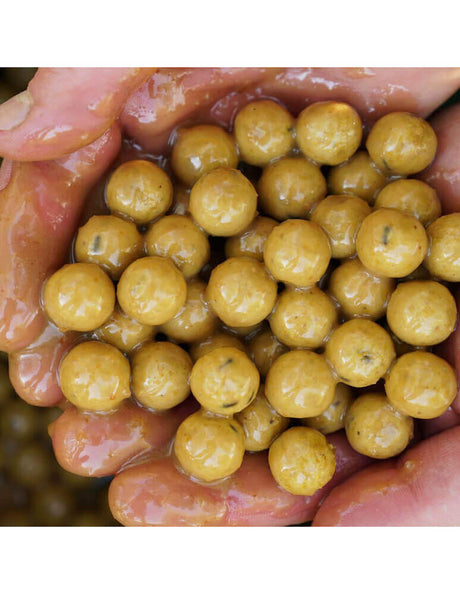 Booster Ccmoore Live System 500 ml - Tienda Carpfishing