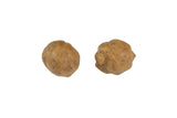 Chufa artificial Fox Edges - Tienda Carpfishing
