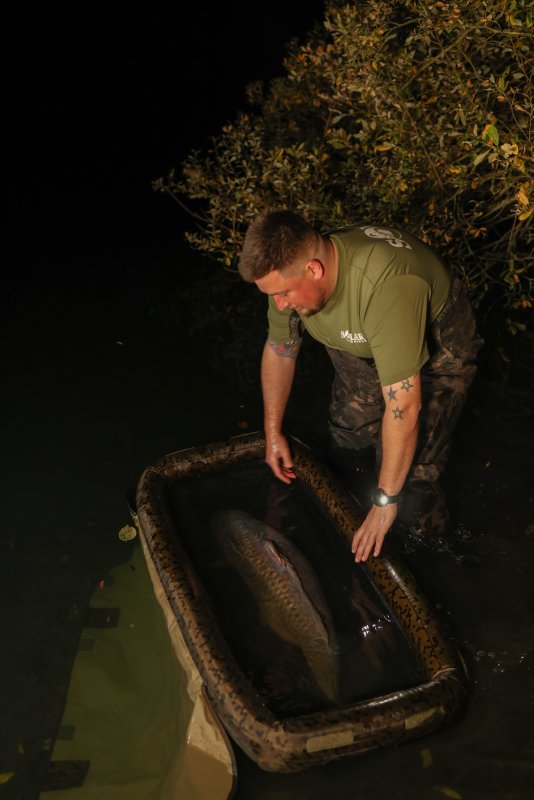 Cuna inflable Solar SP C - Tech - Tienda Carpfishing
