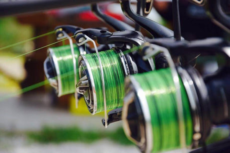 Hilo Katran Synapse Eclipse 1000 m - Tienda Carpfishing