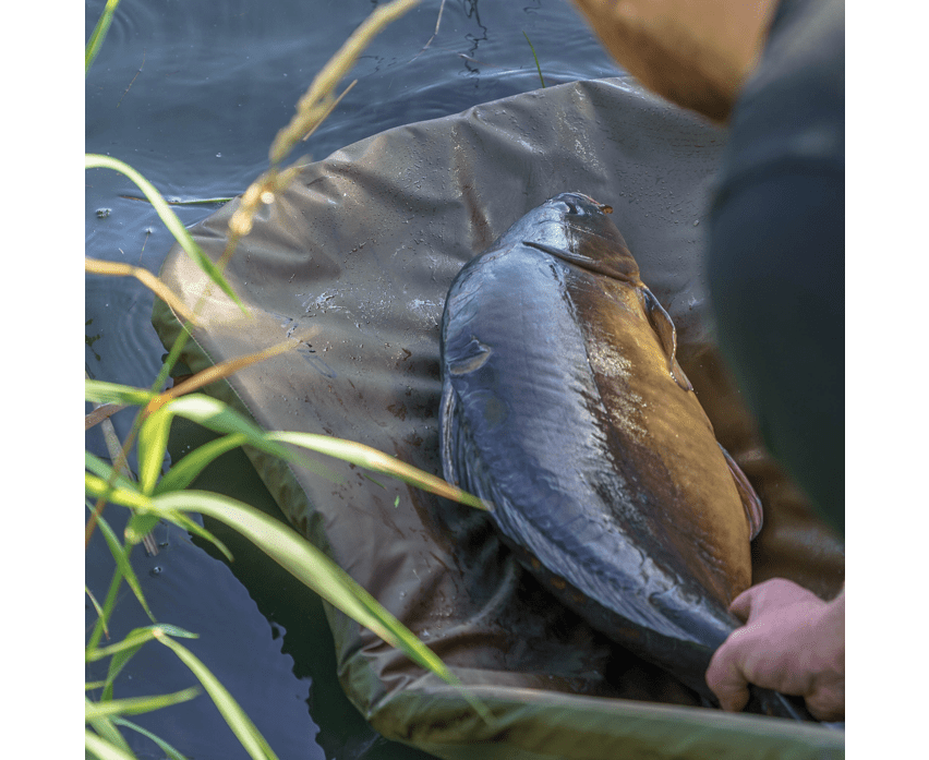 Moqueta Avid Carp Revolve - Tienda Carpfishing