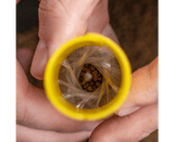 Sistema de fabricación de bolsas PVA Avid Carp - Tienda Carpfishing