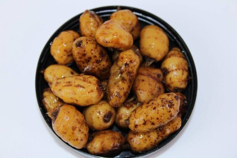 Chufas XXL Pro Elite Baits Gold Sweet Dreams - Tienda Carpfishing