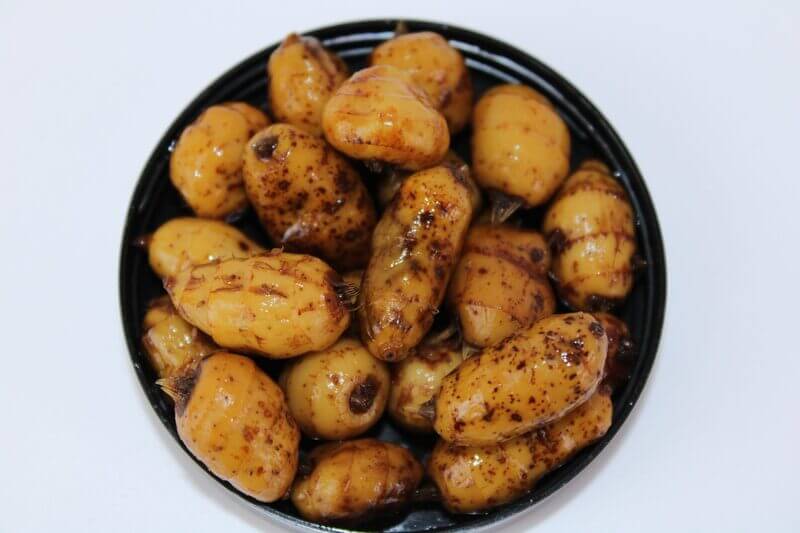 Chufas XXL Pro Elite Baits Robin Red - Tienda Carpfishing