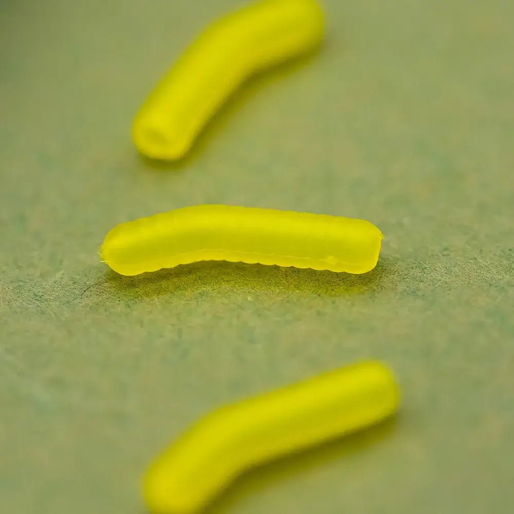 Conrnaliner Inturn OMC Dazzlers S - Tienda Carpfishing