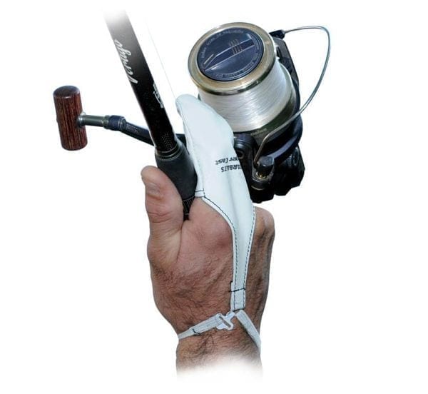 Dedal Starbaits - Tienda Carpfishing