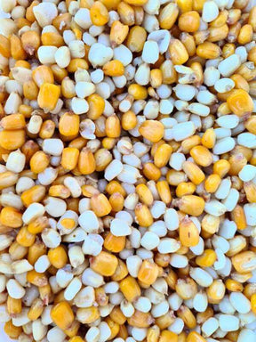 Mix Maíz Particles For Fishing 3 kg - Tienda Carpfishing