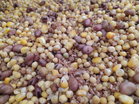 Mix Semilla Gruesa Superbaits 5 kg - Tienda Carpfishing