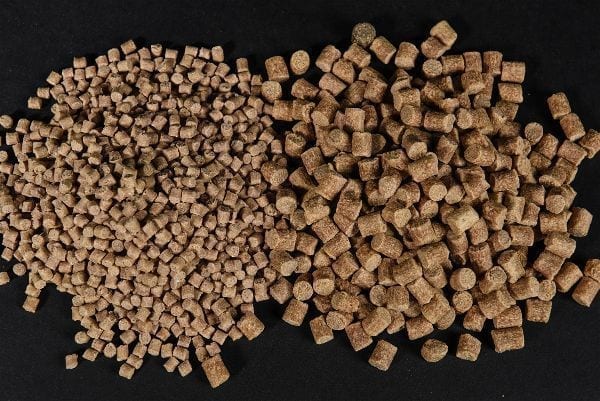 Pellets Ccmoore Live System 3 mm - Tienda Carpfishing